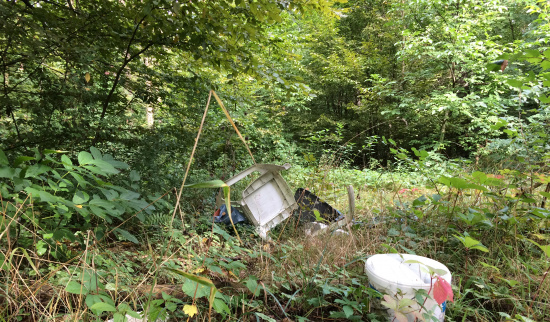 Müll in der Natur Foto: NABU/Katharina Istel