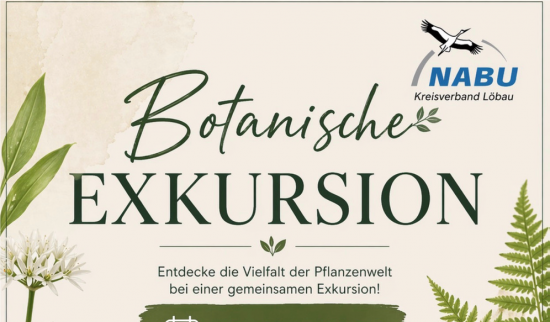 Grafik: R. Heinrich