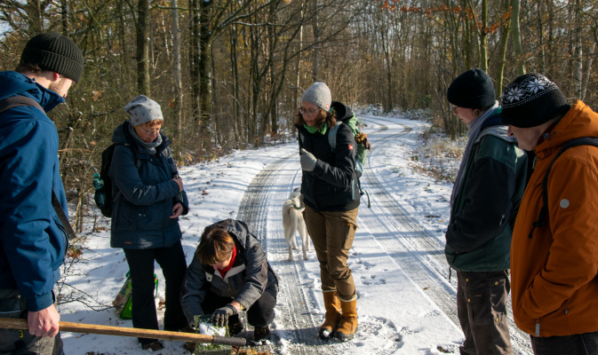 – Foto: F. Spissinger