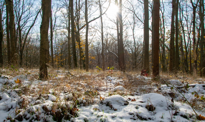 – Foto: F. Spissinger