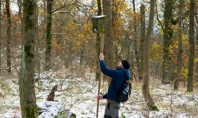 – Foto: F. Spissinger