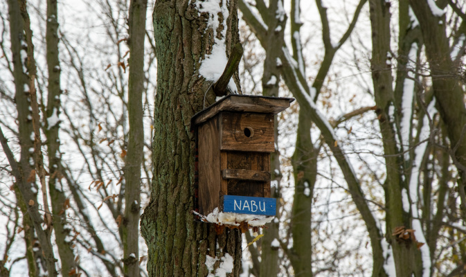 – Foto: F. Spissinger