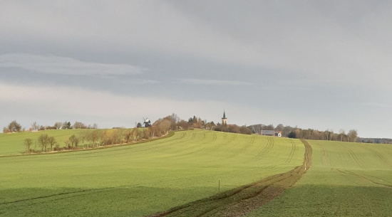 Vorgesehene Fläche für den Feldrain bei Kottmarsdorf Foto: Romy Heinrich