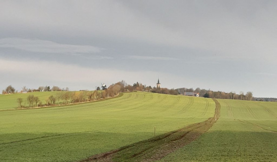 Vorgesehene Fläche für den Feldrain bei Kottmarsdorf Foto: Romy Heinrich