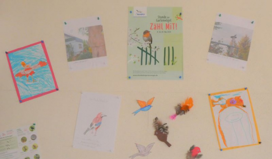 Kunterbunte Vogelwelt Foto: Max & Leni Reichelt, Lucy Rößler, Josepha Schmidt, Klasse 4b Friedrich-Fröbel-Schule