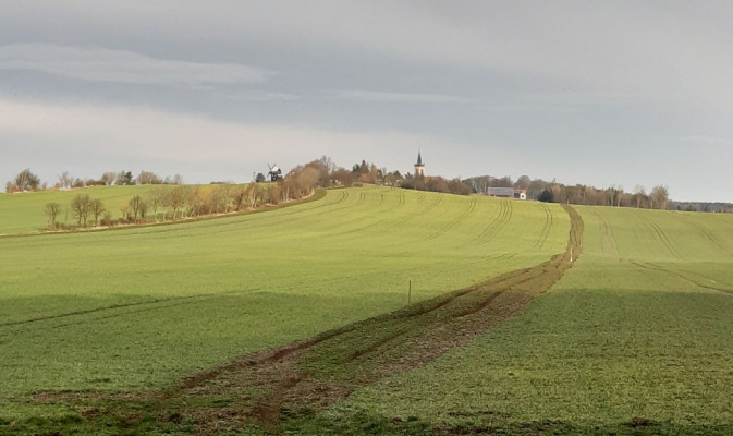 Vorgesehene Fläche für den Feldrain bei Kottmarsdorf – Foto: Romy Heinrich